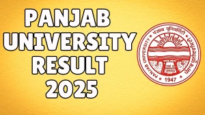 Panjab University Result 2025 Released at puexam.in Direct Link to Download 4th Semester Result