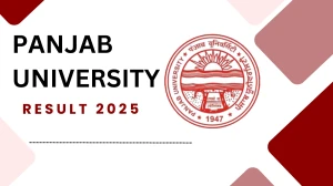 Panjab University Result 2025 Released at puexam.in Direct Link to Download 6th Semester Result