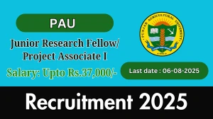 PAU Junior Research Fellow/ Project Associate I Recruitment 2025 - Apply Offline