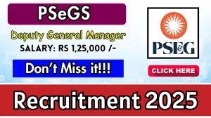 PSeGS Deputy General Manager Recruitment 2025 - Apply Online