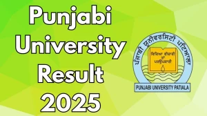 Punjabi University Result 2025 Out at pupexamination.ac.in Direct Link to Download 2nd, 3rd, 6th and 8th Semester Result