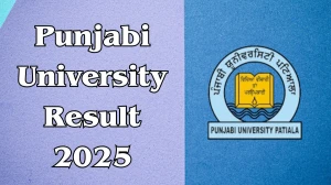 Punjabi University Result 2025 Released at pupexamination.ac.in Direct Link to Download 1st to 6th Semester Result