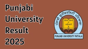 Punjabi University Result 2025 Released at pupexamination.ac.in Direct Link to Download 2nd and 3rd Semester Result