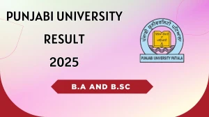 Punjabi University Result 2025 Released at pupexamination.ac.in Direct Link to Download 6th Semester Result