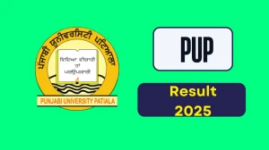 PUP Result 2025 Released at pupexamination.ac.in Direct Link to Download 1st, 3rd, 4th, 6th, 8th Sem Result PUP Result 2025 Released at pupexamination.ac.in Direct Link to Download 1st, 3rd, 4th, 6th, 8th Sem Result