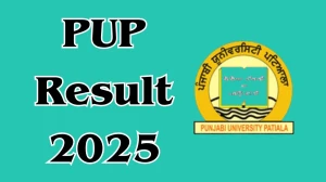 PUP Result 2025 Released at pupexamination.ac.in Direct Link to Download UG, PG Course Result