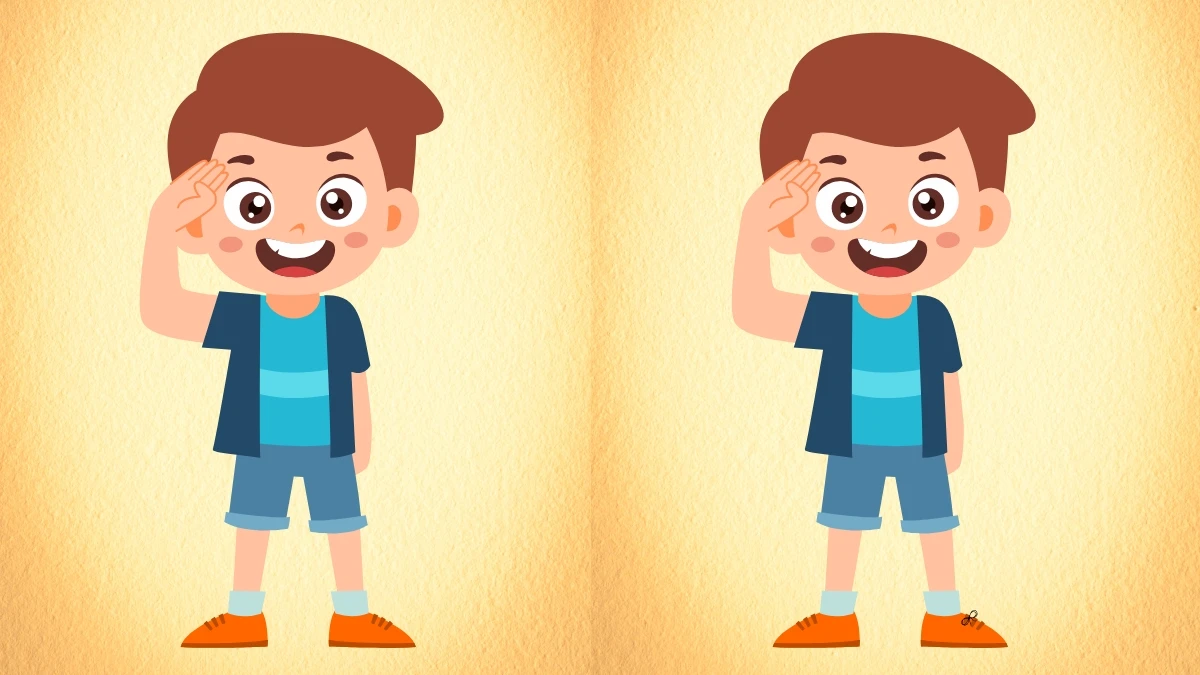 Puzzle IQ Test: Can You Tell What Separates These Twin Pics?