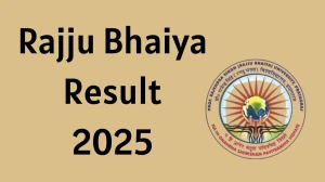 Rajju Bhaiya Result 2025 Released at erp.prsuprayagraj.in Direct Link to Download 2nd, 4th and 6th Semester Result