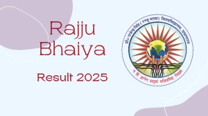 Rajju Bhaiya Result 2025 Released at prsuprayagraj.in Direct Link to Download 2nd, 4th, and 6th Semester Result