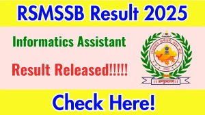 RSMSSB Informatics Assistant Final Result 2025 Out at rsmssb.rajasthan.gov.in, Direct Link to Download Result PDF Here