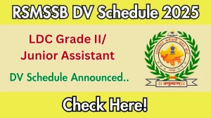 RSMSSB LDC Grade II/ Junior Assistant DV Schedule 2025: Check Document Verification Date @ rsmssb.rajasthan.gov.in