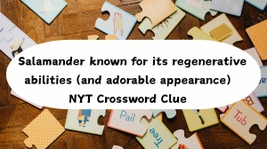 Salamander known for its regenerative abilities (and adorable appearance) NYT Crossword Clue