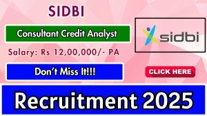 SIDBI Consultant Credit Analyst Recruitment 2025 - Apply Offline for 41 Posts