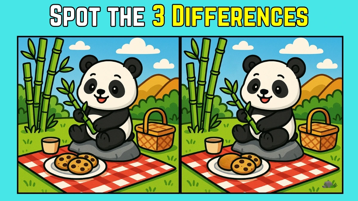 Spot 3 Differences in Panda Picnic - Can You Find Them in 9 Seconds