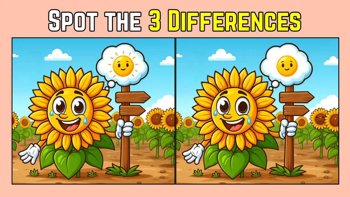 Spot the Difference: Within 6 Seconds Spot The 3 Differences in this Sunflower Image