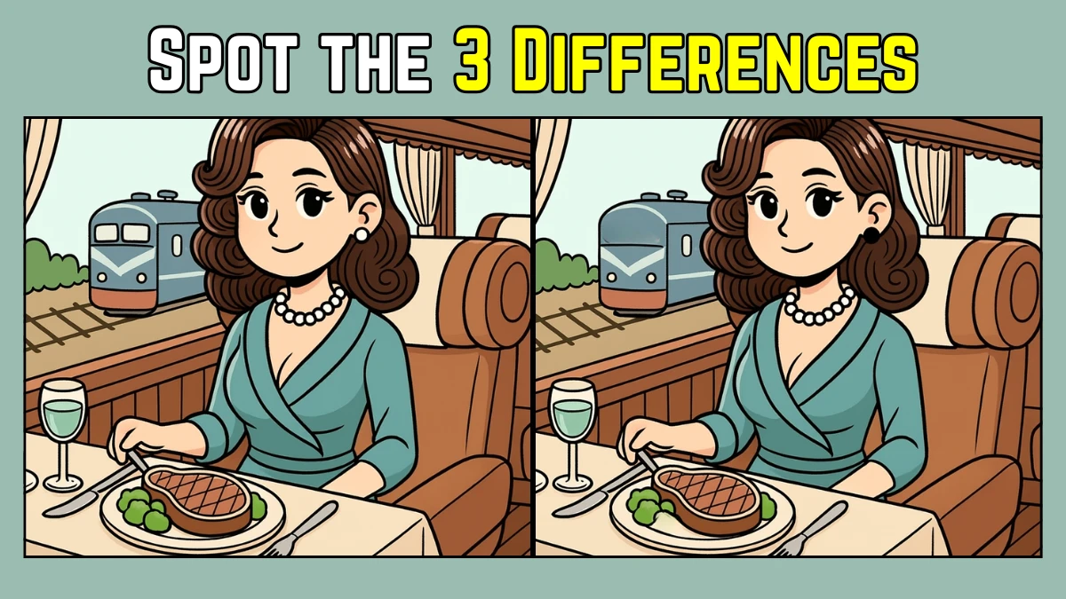 Spot the Difference: Within 6 Seconds Spot The 3 Differences in this Woman Eating Lunch on a Train Image