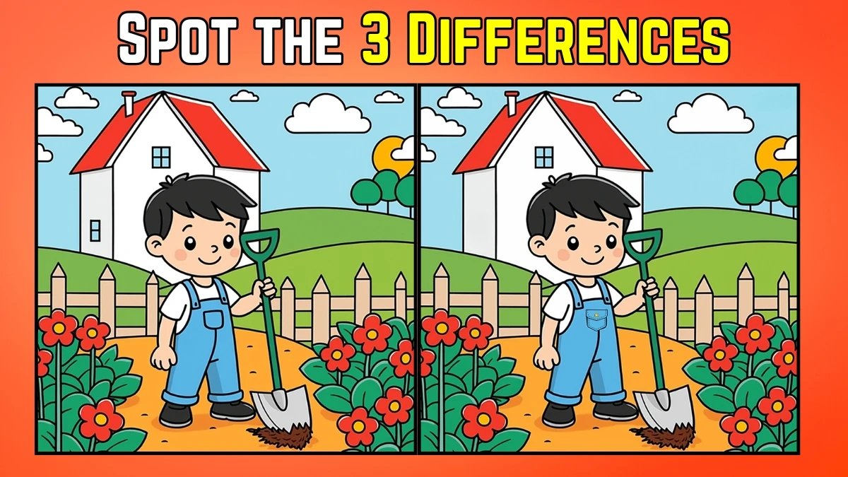 Spot the Difference: Within 9 Seconds Spot The 3 Differences in this Boy Doing Gardening Image