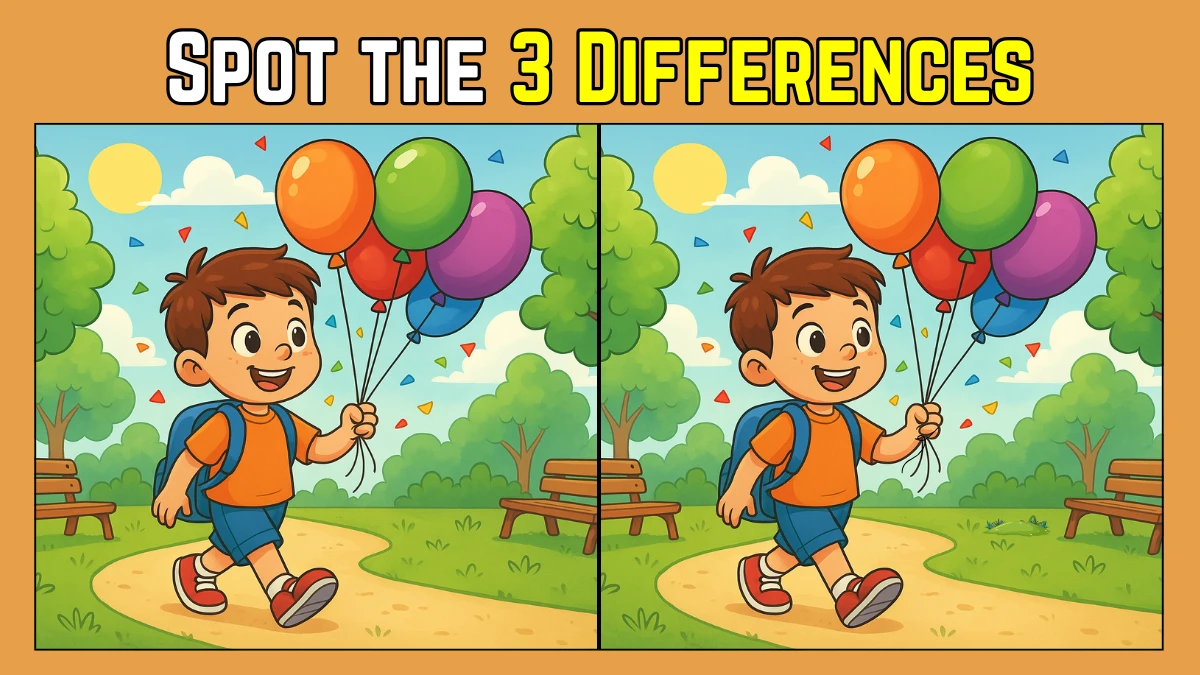 Spot the Difference: Within 9 Seconds Spot The 3 Differences in this Boy Image