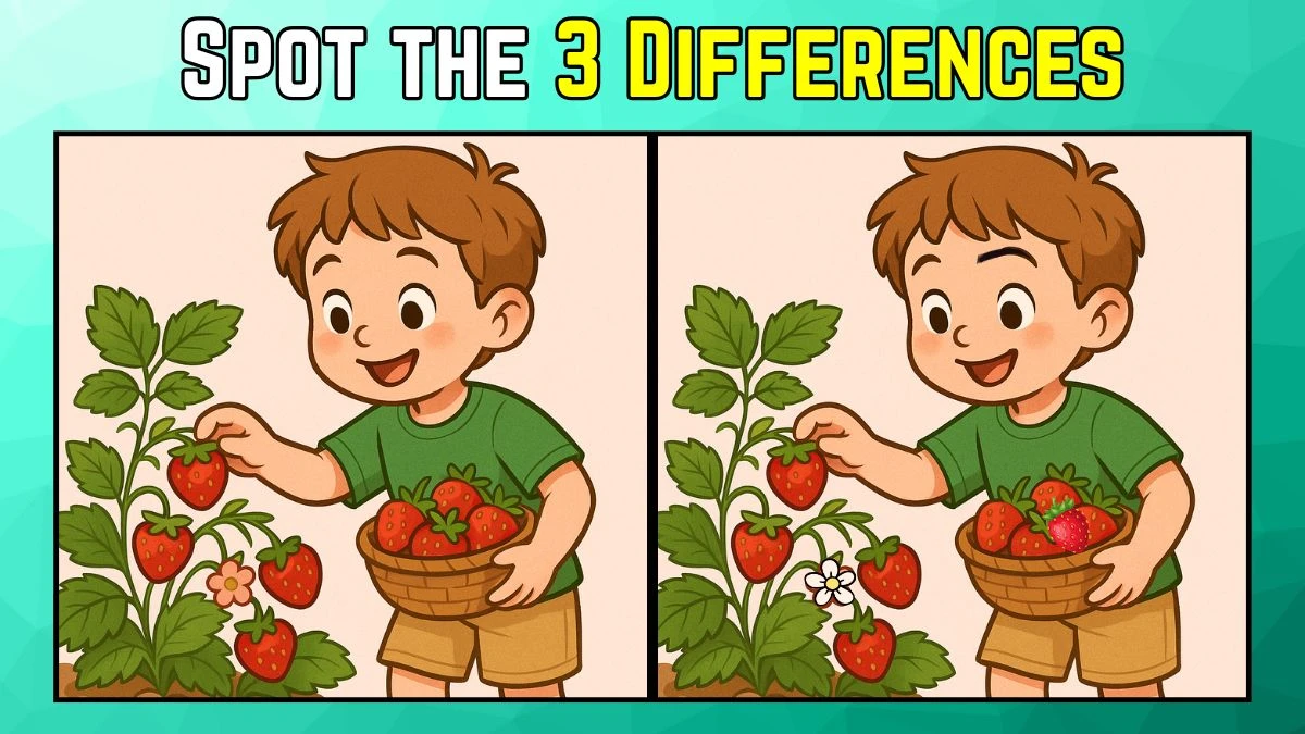 Spot the Difference: Within 9 Seconds Spot The 3 Differences in this Boy Image