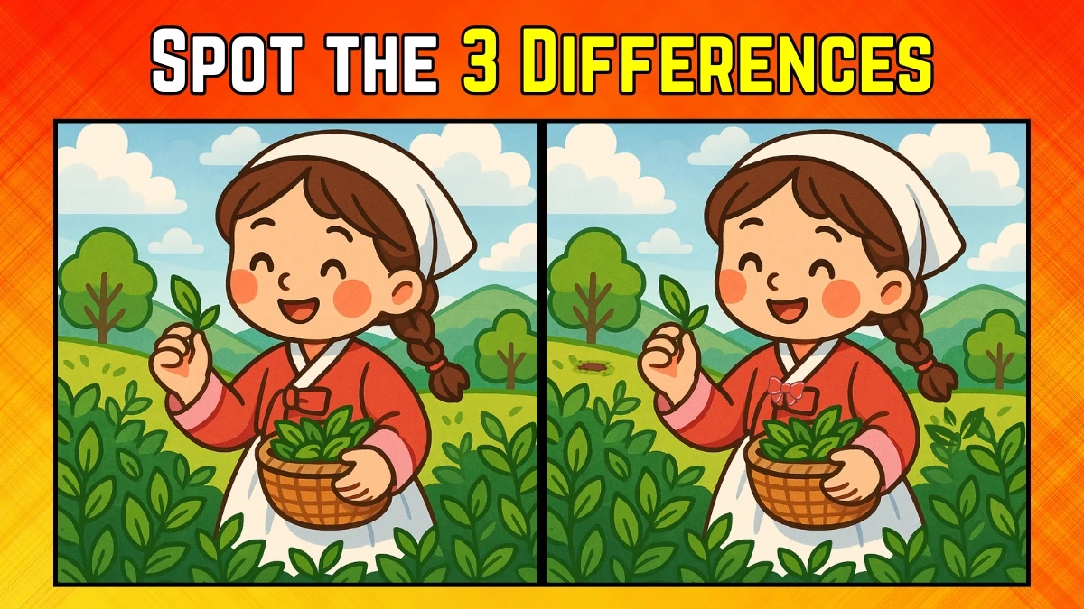 Spot the Difference: Within 9 Seconds Spot The 3 Differences in this Girl Image