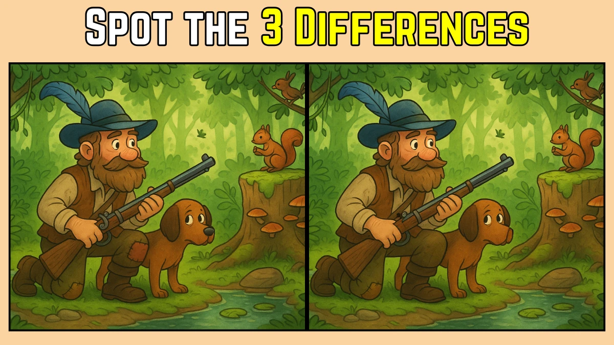 Spot the Difference: Within 9 Seconds Spot The 3 Differences in this Hunter Image