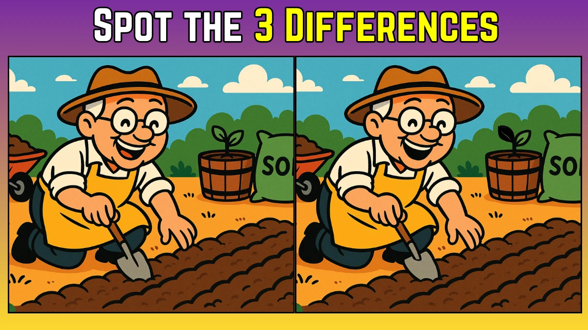 Spot the Difference: Within 9 Seconds Spot The 3 Differences in this Old Man Farming Image
