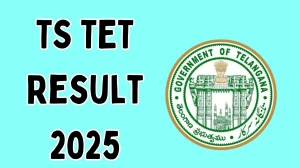 TS TET Result 2025 Out at schooledu.telangana.gov.in Direct Link to Download Result