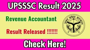 UPSSSC Revenue Accountant Result 2025 Out at upsssc.gov.in, Direct Link to Download Result PDF Here UPSSSC Revenue Accountant Result 2025 Out at upsssc.gov.in, Direct Link to Download Result PDF Here