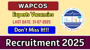 WAPCOS Experts Recruitment 2025 - Apply Offline