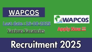 WAPCOS Recruitment 2025 - Apply Offline for 07 Deputy Team Leader, Field Engineer and More Posts
