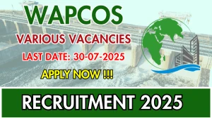 WAPCOS Recruitment 2025 - Apply Offline for 10 Team Leader, Water Engineer and More Posts