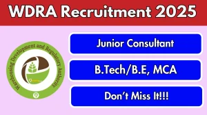 WDRA Junior Consultant Recruitment 2025 - Apply Offline