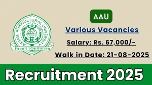 AAU Recruitment 2025 – Walk in for 06 Research Associate, Young Professional and More Posts