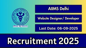 AIIMS Delhi Website Designer/ Developer Recruitment 2025 - Apply Offline by Sep 06