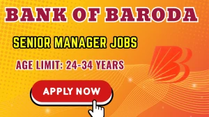 Bank of Baroda Senior Manager Recruitment 2025 - Apply Online