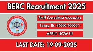 BERC Staff Consultant Recruitment 2025 - Apply Offline BERC Staff Consultant Recruitment 2025 - Apply Offline