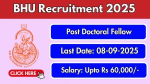 BHU Raja Jwala Prasad Post Doctoral Fellow Recruitment 2025 - Apply Offline