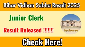Bihar Vidhan Sabha Prelims Junior Clerk Result 2025 Out at vidhansabha.bihar.gov.in, Direct Link to Download Result PDF Here Bihar Vidhan Sabha Prelims Junior Clerk Result 2025 Out at vidhansabha.bihar.gov.in, Direct Link to Download Result PDF Here