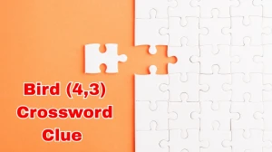 Bird Crossword Clue Irish Daily Mail Quick 7 letters Answer