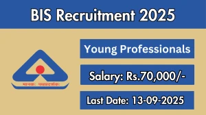 BIS Young Professionals Recruitment 2025 - Apply Online