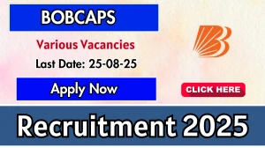 BOBCAPS Recruitment 2025 - Apply Offline for Assistant Manager, SVP and Other Posts