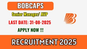 BOBCAPS Senior Manager/ AVP Recruitment 2025 - Apply Offline