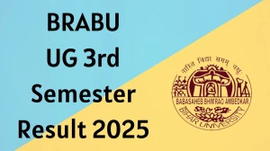 BRABU UG 3rd Semester Result 2025 Out at brabu.net Direct Link to Download Result