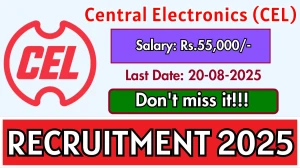 CEL Consultant Recruitment 2025 - Apply Offline for 1 Posts