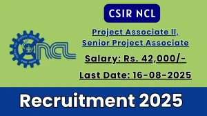 CSIR NCL Recruitment 2025 - Apply Online for 02 Project Associate ll, Senior Project Associate Posts