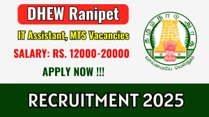 DHEW Ranipet Recruitment 2025 - Apply Offline for 03 IT Assistant, MTS Posts DHEW Ranipet Recruitment 2025 - Apply Offline for 03 IT Assistant, MTS Posts