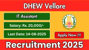 DHEW Vellore IT Assistant Recruitment 2025 - Apply Offline for 01 Posts