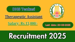 DHS Tenkasi Therapeutic Assistant Recruitment 2025 - Apply Offline