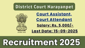 District Court Narayanpet Recruitment 2025 - Apply Offline for 02 Court Assistant, Court Attendant Posts