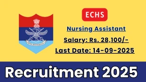 ECHS Nursing Assistant Recruitment 2025 - Apply Offline for 01 Posts